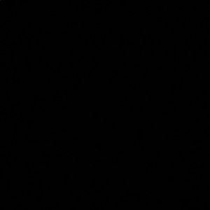 Meet your Posher, Cameran